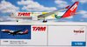 Herpa Wings 1:500 515580 TAM Airbus A330-200 "World Cup" PT-MVP